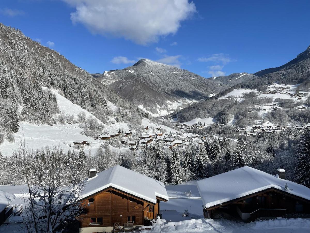 Magnifique Vue - Pistes 1 Min - Parking Possible A L'exterieur De La