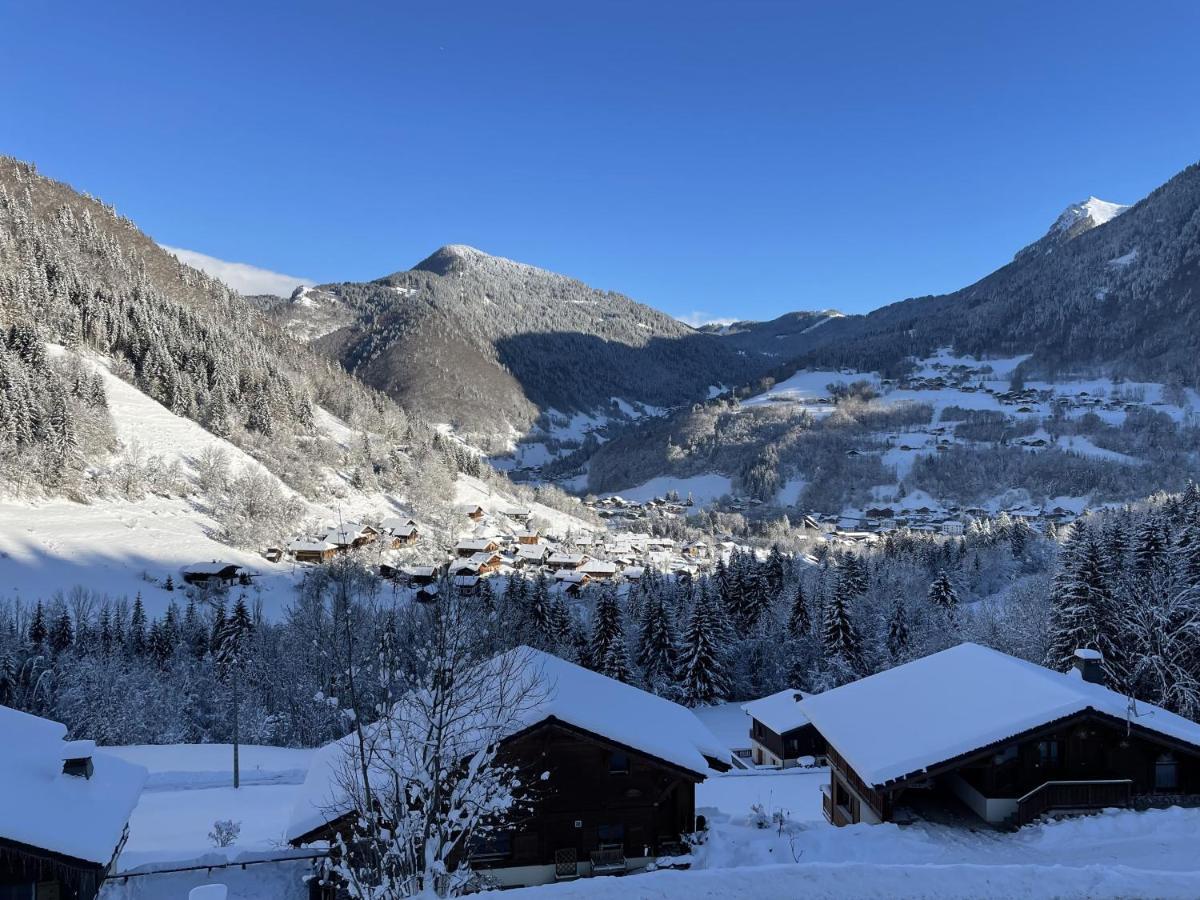 Magnifique Vue - Pistes 1 Min - Parking Possible A L'exterieur De La